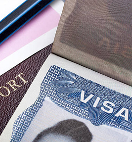 Bali Visa Advisor - Bali Visa Agency and Business Advisor